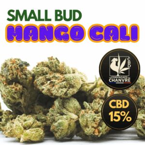 La qualité d'une mango californienne, le meilleur du CBD