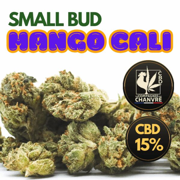 La qualité d'une mango californienne, le meilleur du CBD