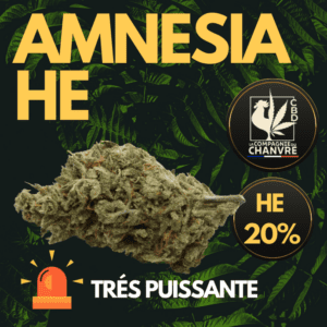 fleur cbd amnesia 20 he tete compacte premium