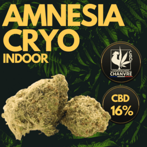 fleur cbd amnesia indoor cryo 16 claire légère premium