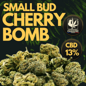 fleur cbd cherry bomb small bud 13 fruitée terreuse