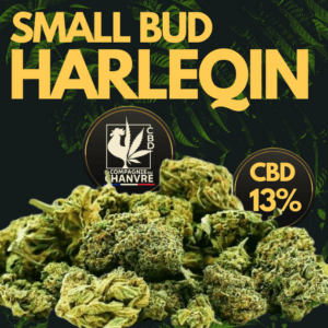 fleur cbd harlequin small bud 13 pas cher fruitée