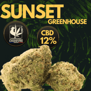 fleur cbd sunset greenhouse douce florale fruitée