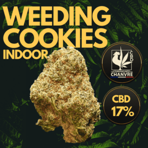 fleur cbd wedding cookies indoor 17 dense gourmande premium